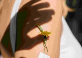 ZERO WASTE & PLASTIC FREE